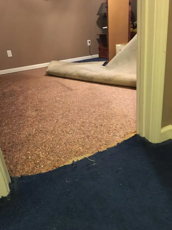 Carpet pad removal revealing water damage during Drying & Dehumidification in Ligonier