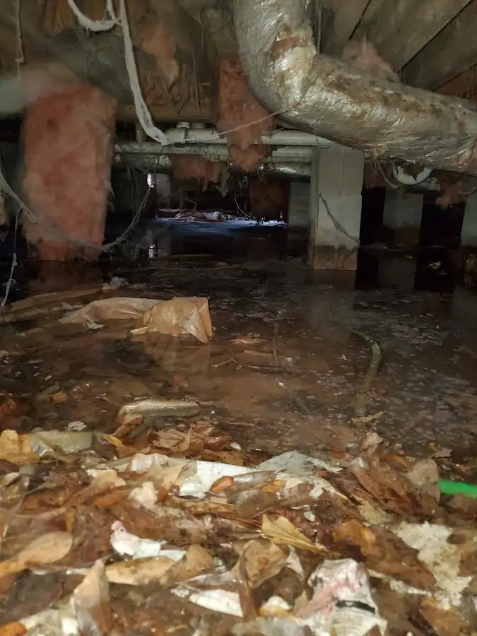 Crawl space flood assessment for Leak Detection & Repair in Ligonier