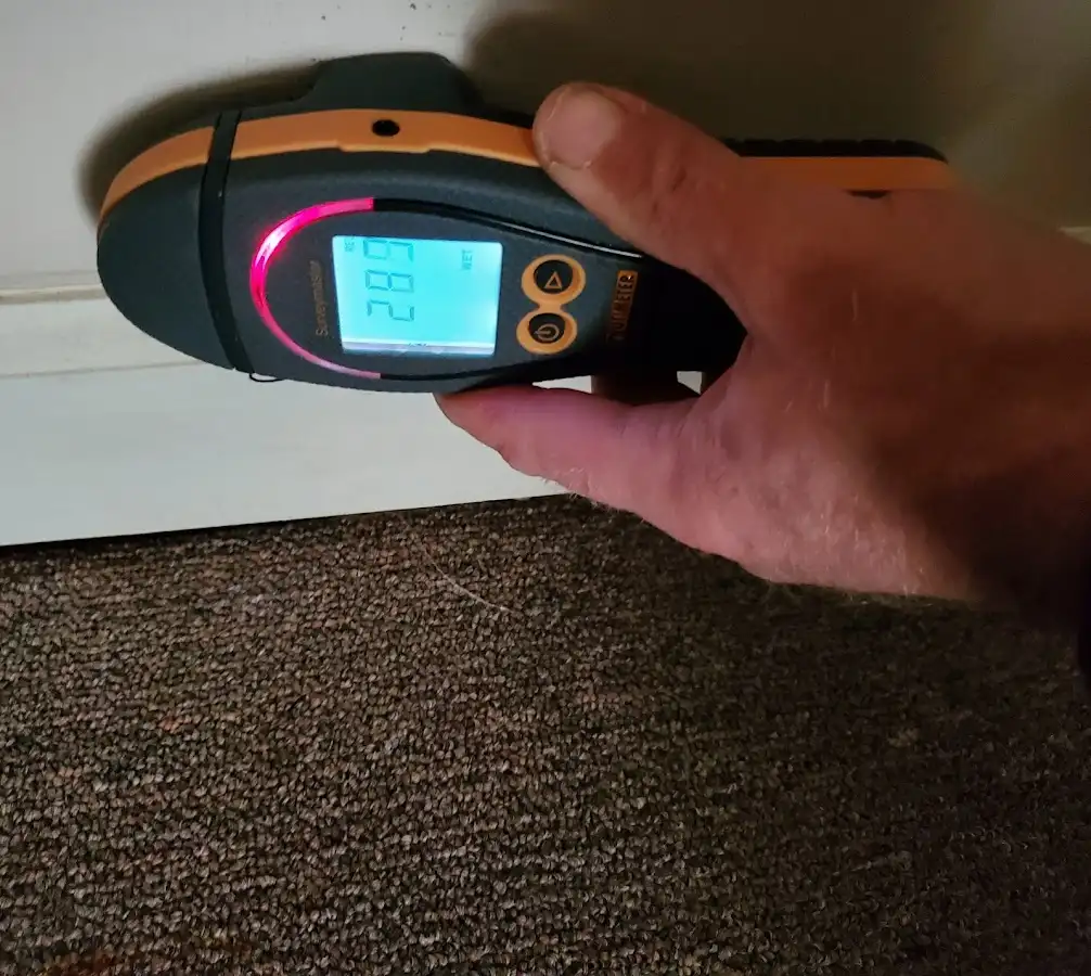 Moisture detection at baseboard during Mold Inspection & Testing in Ligonier