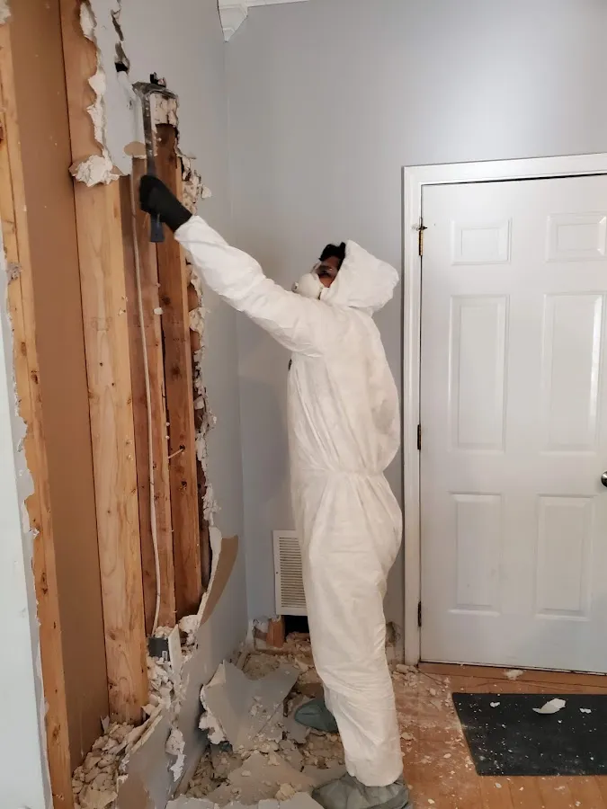 Mold Inspection & Testing in Ligonier, PA